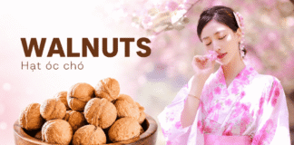 Quả óc chó mua ở đâu tại Quảng Ninh chất lượng, giá hợp lý? Mua qua oc cho o dau Quang Ninh