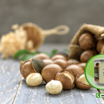 Mua sỉ hạt macca tại Hà Nội chất lượng giá tốt?