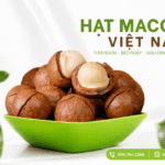 Nơi bán hạt macca uy tín, giao hàng nhanh toàn quốc Noi ban hat macca uy tin
