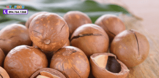 Quả Mắc Ca Mua Ở Đâu Uy Tín? Top Địa Chỉ Bán Chất Lượng!