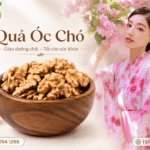Quả óc chó mua ở đâu tại Vĩnh Phúc – Phú Thọ uy tín, giá hợp lý?