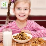 Quả óc chó có tốt cho trẻ em không? Quả óc chó tốt cho trẻ nhỏ