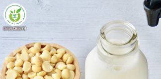 Cách sử dụng hạt mắc ca Sữa hạt mắc ca