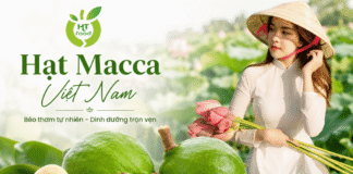 Tác dụng của hạt mắc ca là gì? 7 lợi ích đáng chú ý cho sức khỏe Tac dung cua hat mac ca la gi