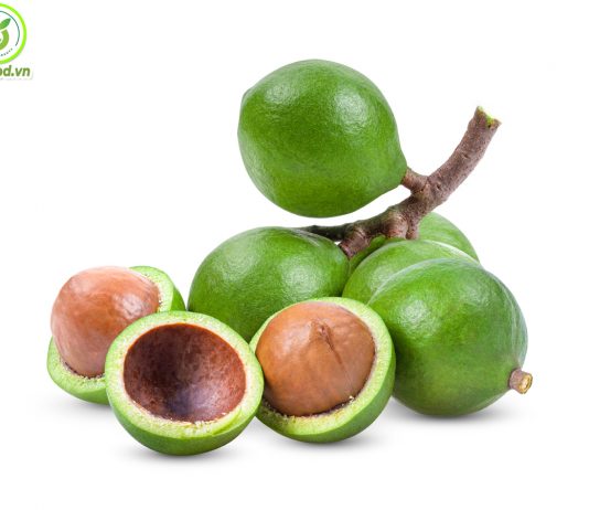 Tìm hiểu hạt macca Úc | Nguồn gốc của hạt macca Úc ở đâu?