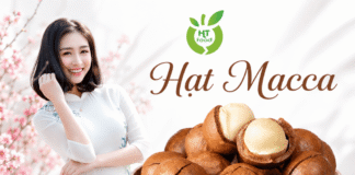 Where to buy flavorful Vietnamese macadamia nuts? Vietnamese macadamia nuts