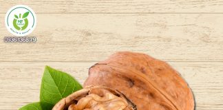 Vì sao quả óc chó là vua của các loại hạt? Quả óc chó - Vua của các loại hạt