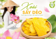 Xoài sấy dẻo loại nào ngon mềm dai không quá ngọt dễ ăn? Xoai say deo loai nao ngon