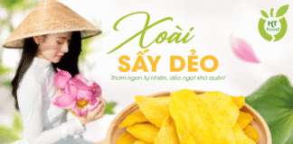 Xoài sấy dẻo loại nào ngon mềm dai không quá ngọt dễ ăn? Xoai say deo loai nao ngon