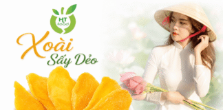 Mua xoài sấy dẻo ở đâu tại Hà Nội để ngon và dễ chọn mua? Xoai say deo mua tai Ha Noi
