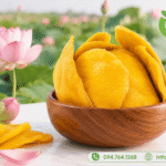 Địa chỉ bán xoài sấy dẻo chất lượng, giá tốt, dễ đặt mua! dia chi ban xoai say deo
