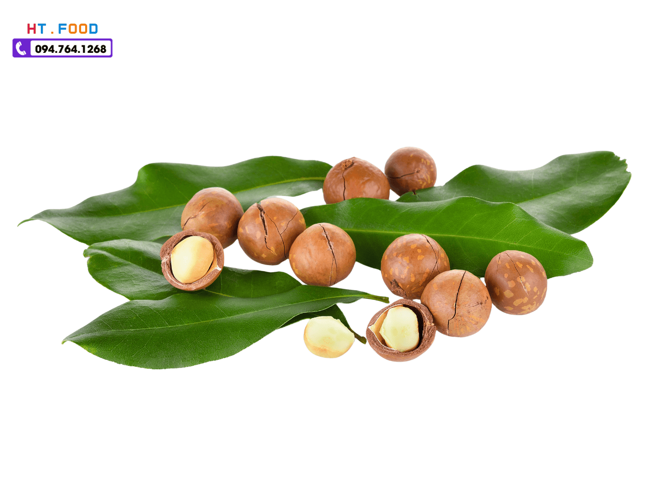 mua hat mac ca thanh xuan