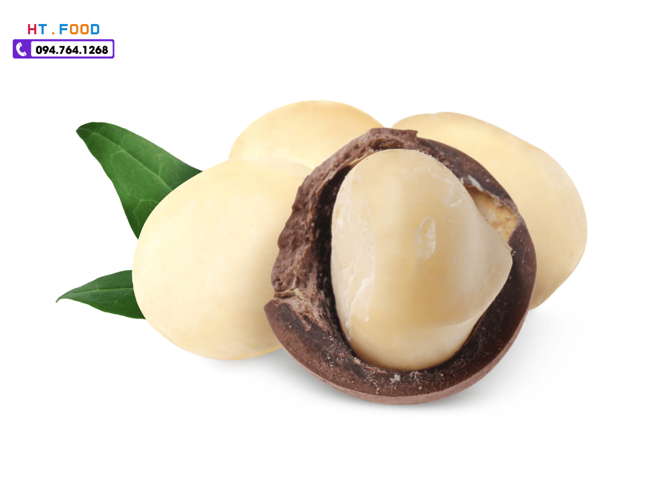 mua hat macca tai phu tho